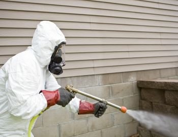 # 1 Trused Local Pest Control  In Somerton